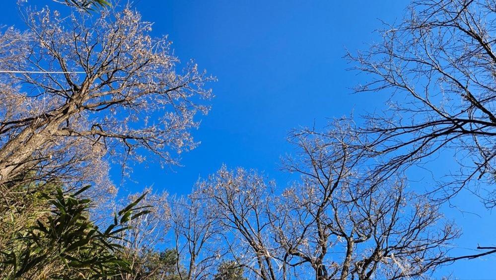 Yangyang Little Forest Pension Exterior photo